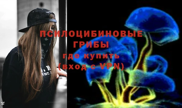 молекула духа Алексеевка