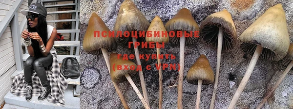 молекула духа Алексеевка