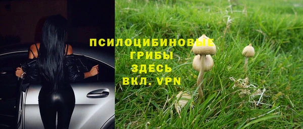 молекула духа Алексеевка