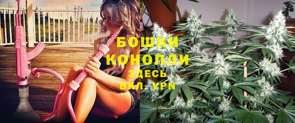 спайс Алексин